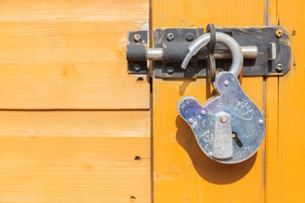 A padlock left open on a door representing guide to home security